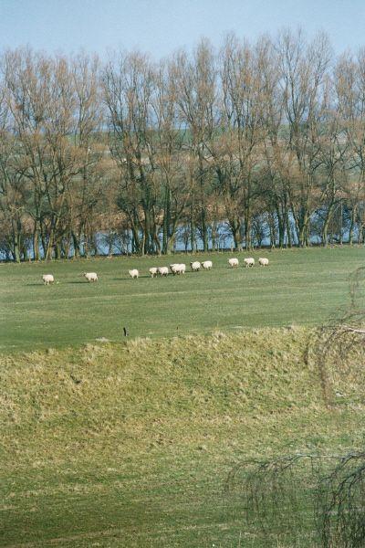 HS Aussicht3