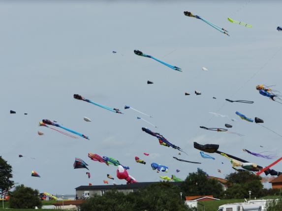 HS Drachenfest1
