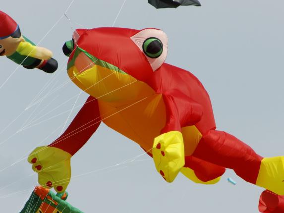 HS Drachenfest5