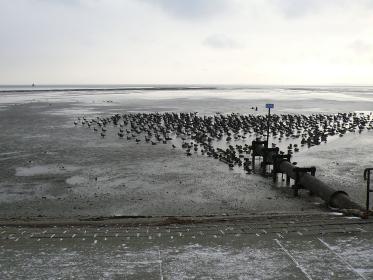 HS Strand Winter6
